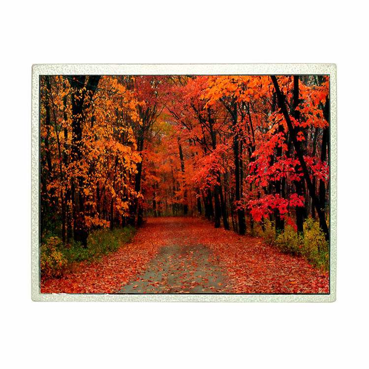 &Eacute;cran LCD TFT 12,1 IPS