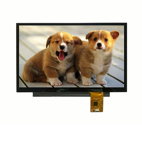 11.6 インチ LCD ディスプレイ (HDMI 付き)